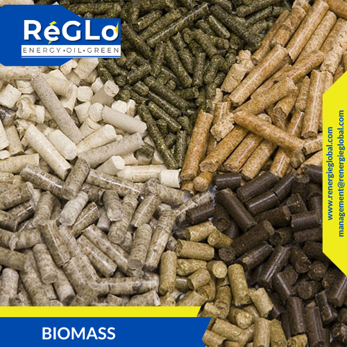 BioMass, Biomass Fuels, sustainable energy